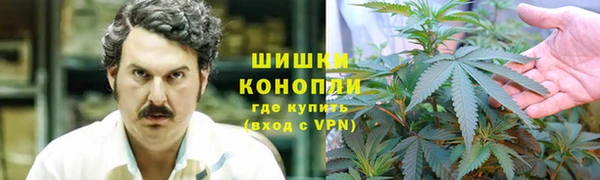 тгк Верея