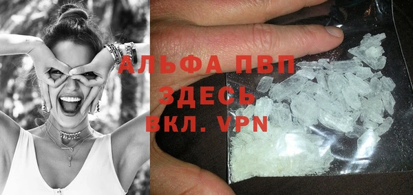 гидра Волоколамск