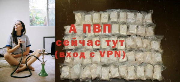 гидра Волоколамск